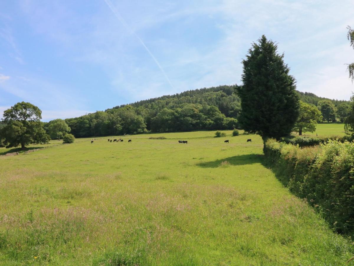 Lees Moor Cottage Матлок Екстер'єр фото